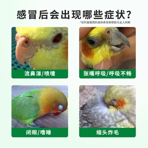 Geledor/格莱德鹦鹉感冒灵小鸟炸毛咳嗽喘气肿眼喷嚏流泪专用调理