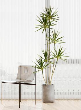 轻奢仿真绿植内龙假舌兰植物树盆栽室客厅装饰家220620龙居落地盆