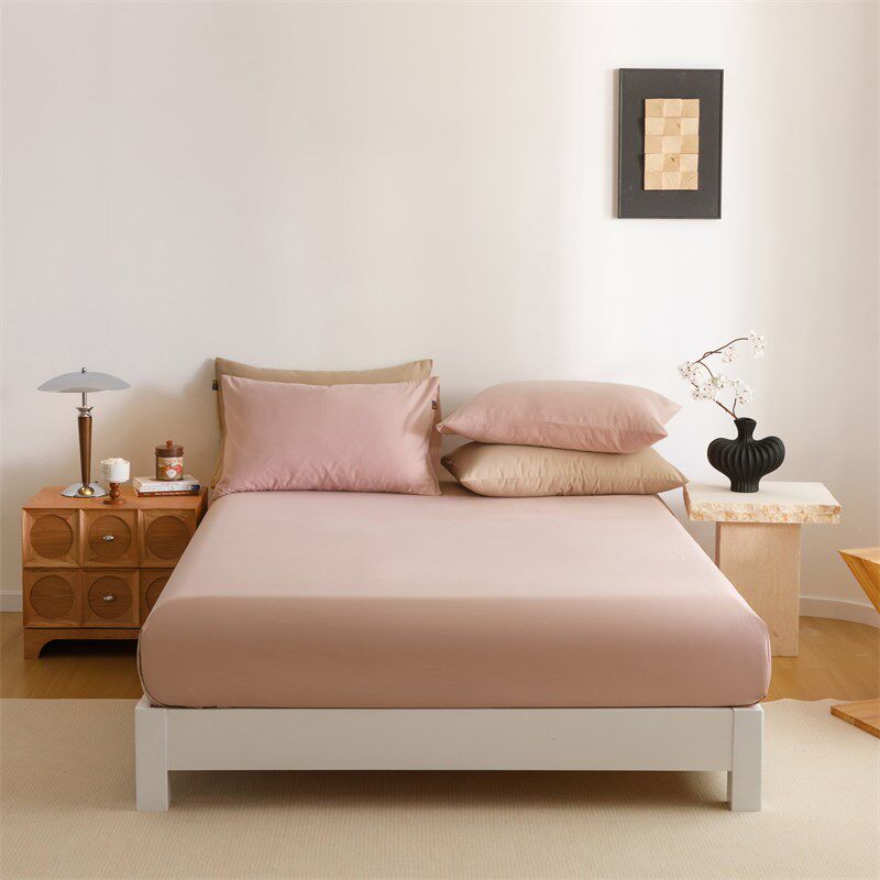 亲肤A类100支长绒棉全s棉磨毛单件床单加厚纯棉保暖素色床笠可定