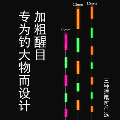 无铅自立夜光漂硬尾跑铅电子w漂日夜两用青鱼大物漂流氓漂超长浮