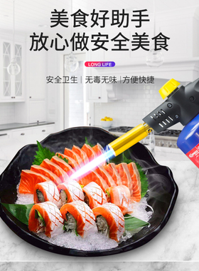 铜铝高温焊枪瓦斯丁皖气罐 8800电子打火枪蓝色P石油气391点火喷