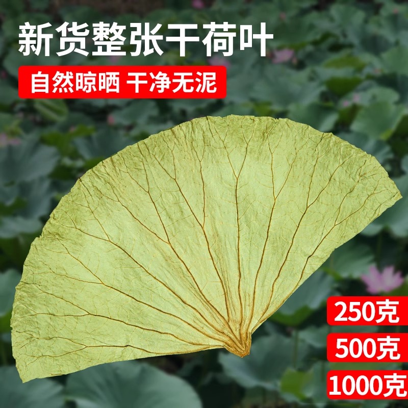 荷叶整张荷叶茶荷叶片干荷叶糯米鸡荷叶鸡荷叶饭微山荷叶整张
