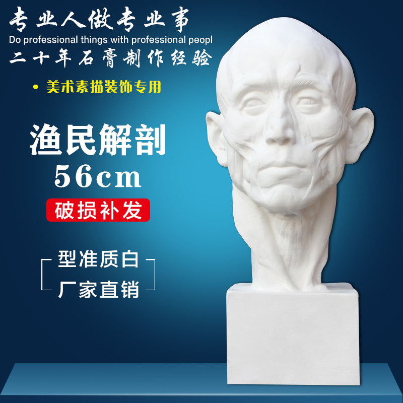 美术教学解剖切面石头像渔民石像素描写生头部结构分面石像