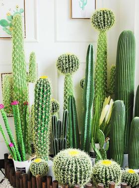 大型落地仿真仙人掌仙人球量天尺仙人柱假绿色沙漠植物家居装饰品