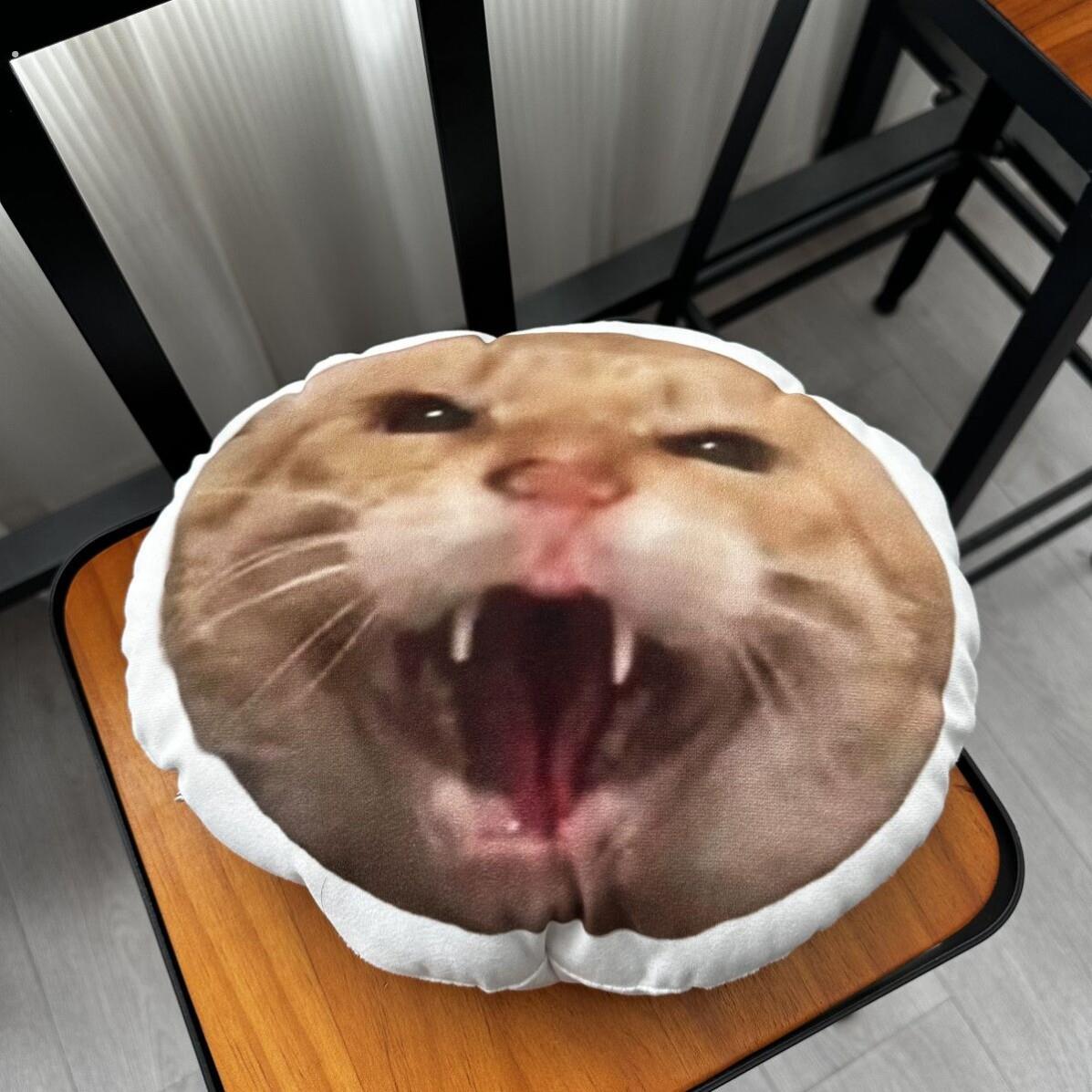 耄耋抱枕圆头馒头抱枕搞怪猫解压生日礼物送朋友闺蜜家居创意玩偶