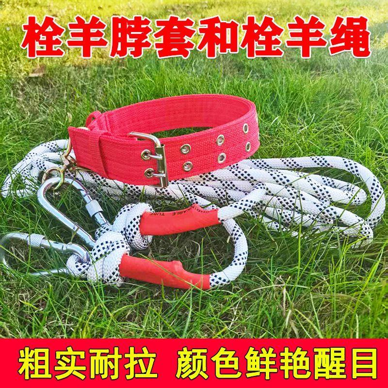 加粗栓羊套装羊脖套项圈羊用脖圈铃铛圈牵羊绳子牵引绳羊脖环颈圈