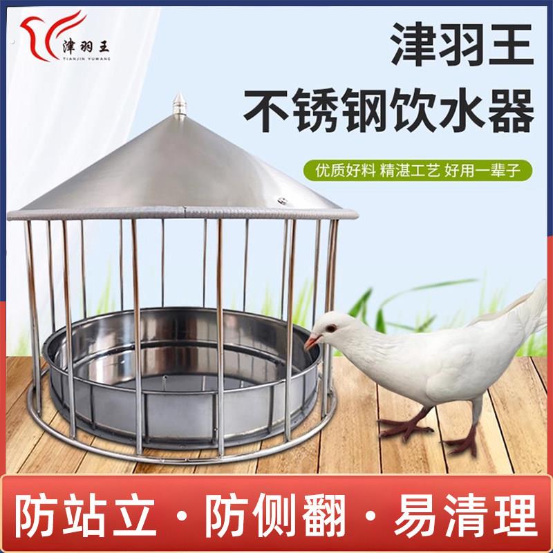 津羽王鸽子喂食器不锈钢鸟食盆喂水器喂食器喂食器喂食器图片