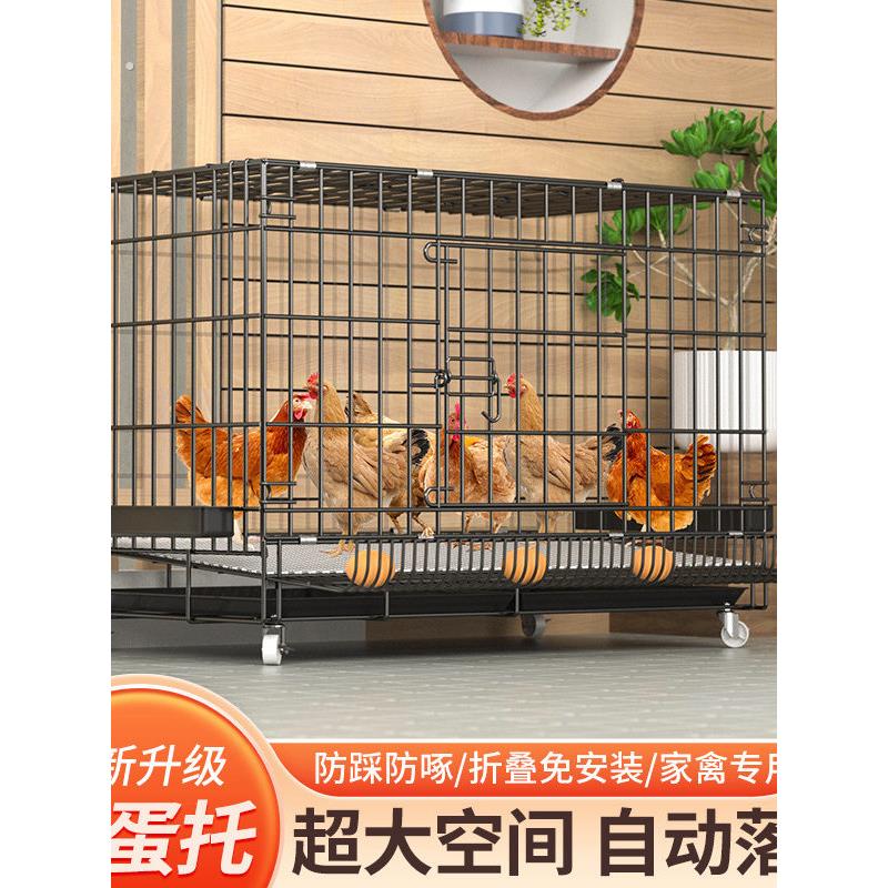 鸡笼子养殖笼田鸡笼家用大号特大号养鸡笼子铁鸡舍自动下蛋鸡笼网