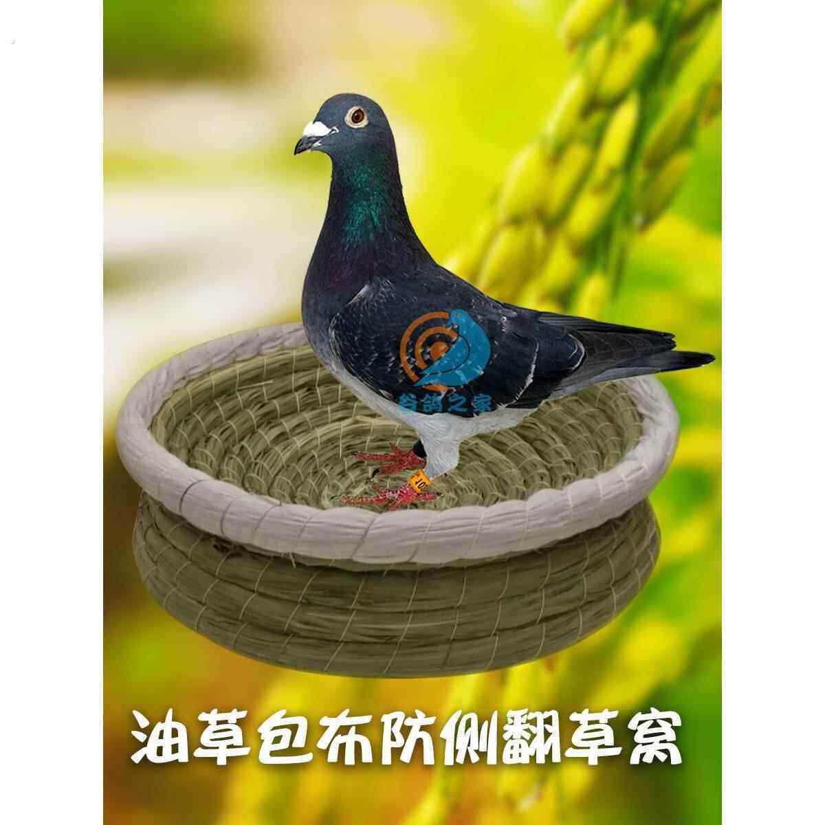 油草鸽子窝孵蛋专用草窝信鸽元宝鸽子巢窝阳台斑鸠繁殖窝鸡窝鸟窝