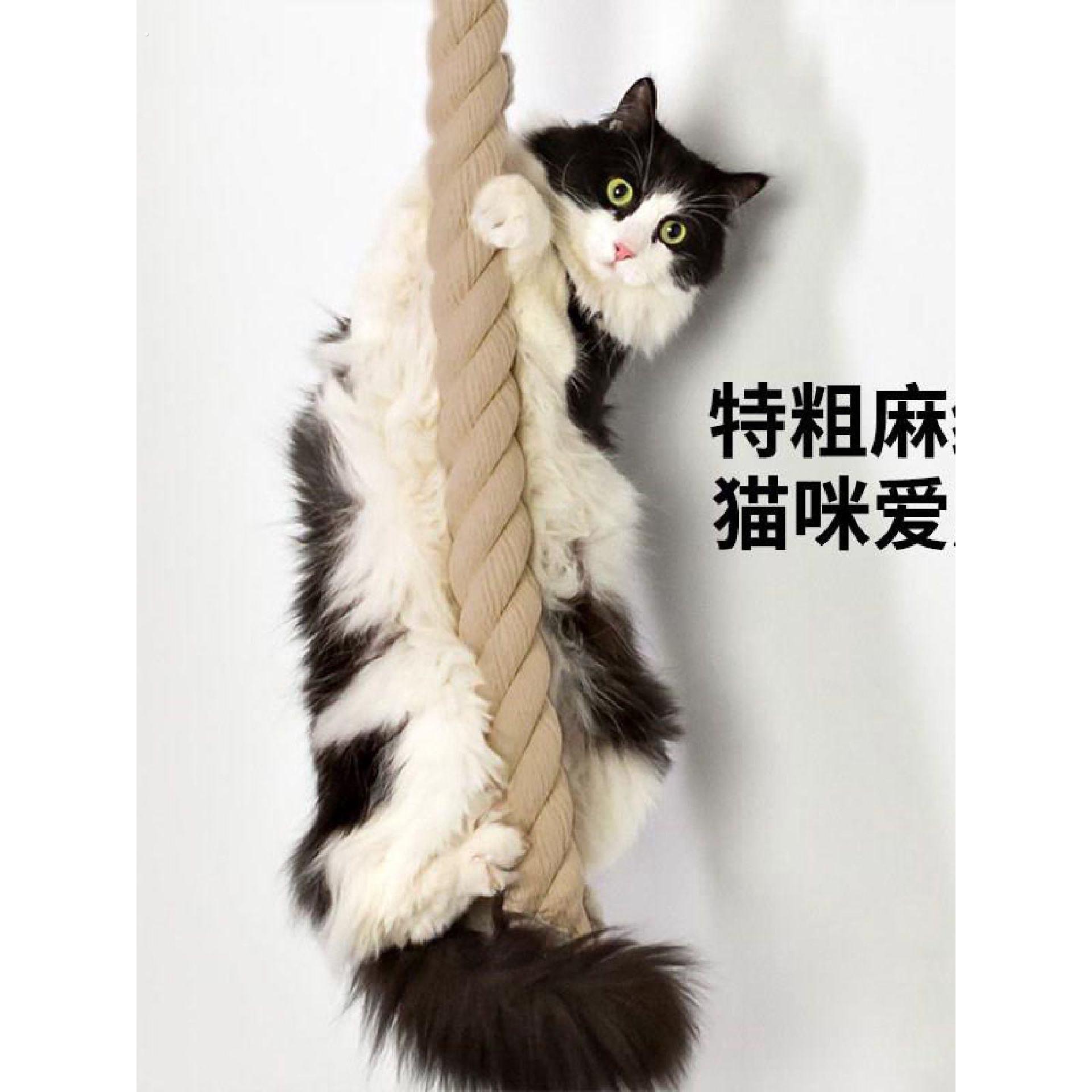 可挂可绑特粗猫咪攀爬绳麻绳轻松小户型不占地通天绳宠物磨爪解闷