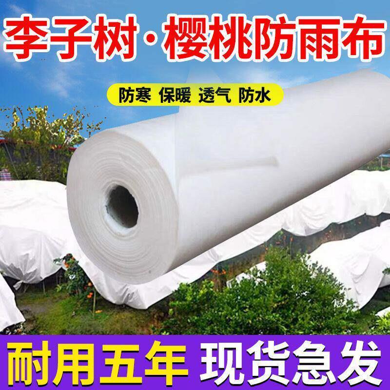 大樱桃专用防雨布樱桃脆李防雨布防裂果防烧果防寒布柑橘果树遮雨