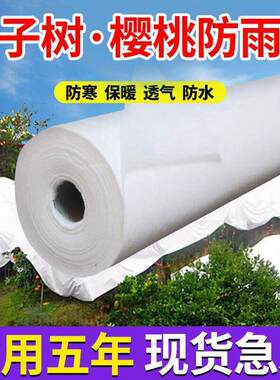 大樱桃专用防雨布樱桃脆李防雨布防裂果防烧果防寒布柑橘果树遮雨