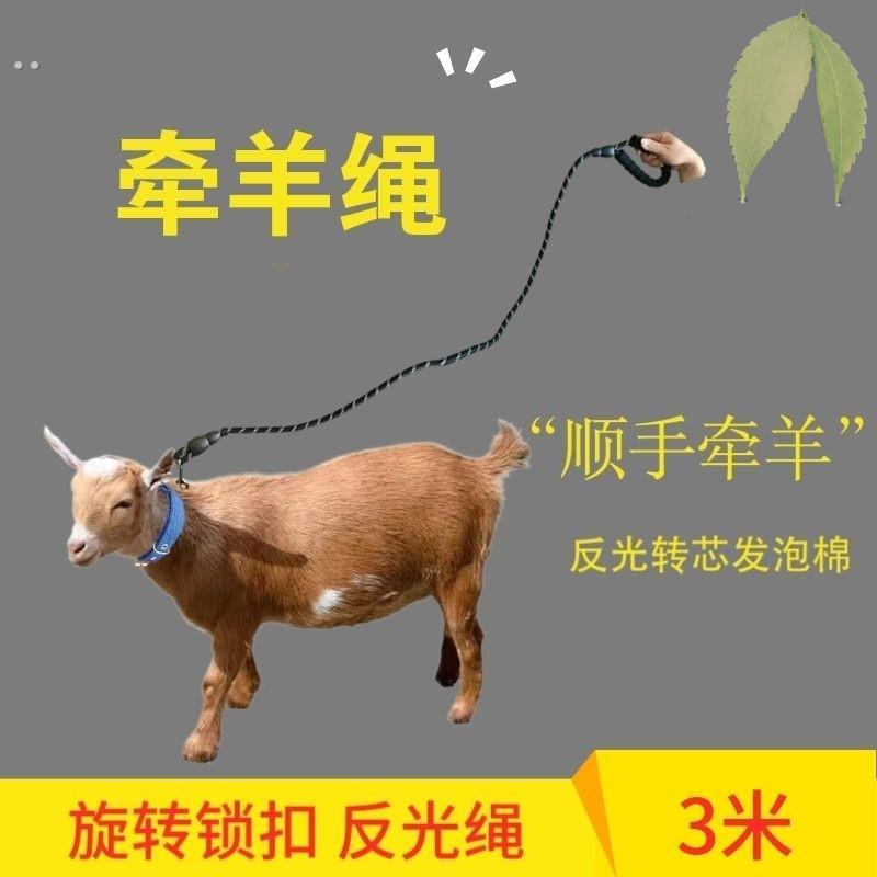 牵羊绳子脖套铃铛犬用牵引绳农村养羊拴羊牵羊带锁扣可旋转不勒手