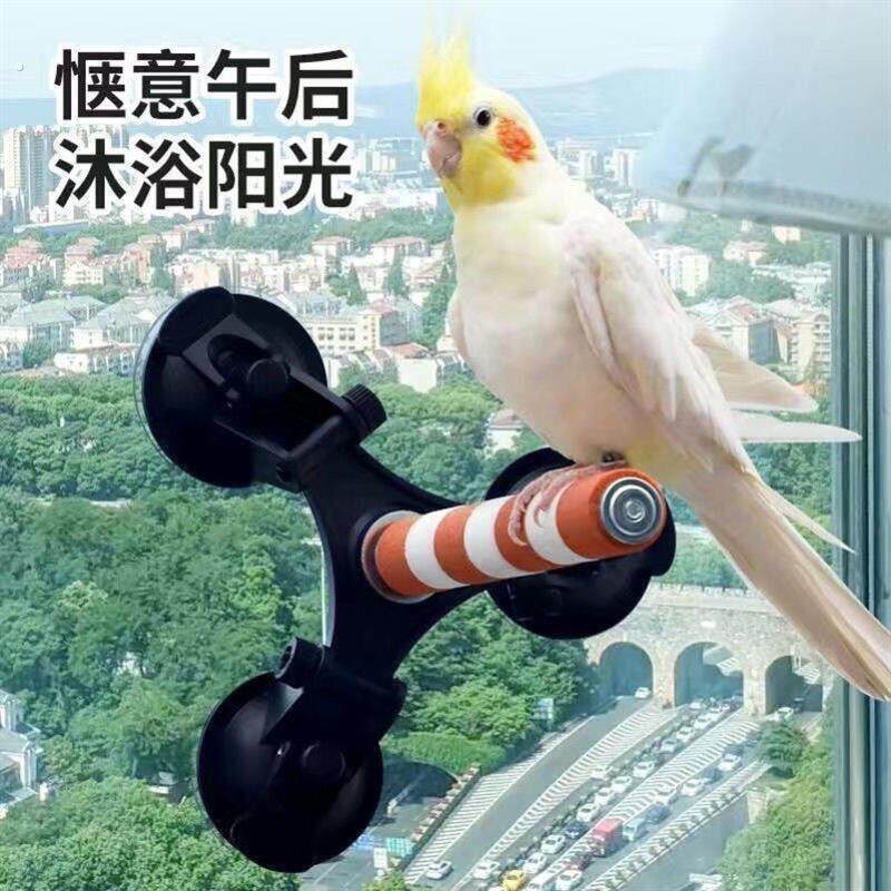 鹦鹉站杆架吸盘站杆鹦鹉魔爪站台八哥磨爪棒鹦鹉空中站架磨砂站杆