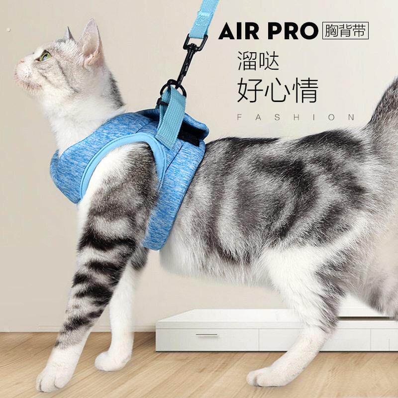 猫咪牵引绳栓溜猫绳猫胸抱婴袋背心式外出防挣脱专用栓小猫绳子猫