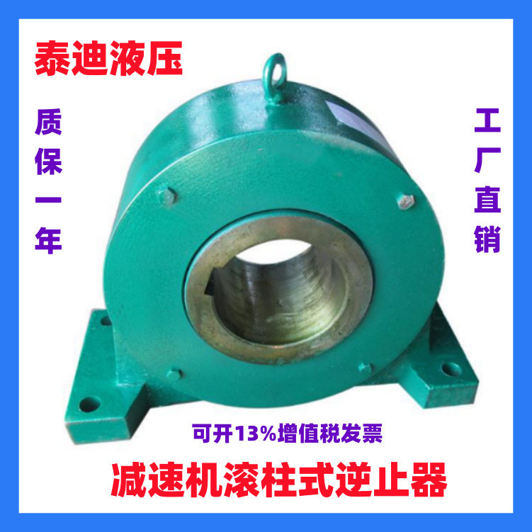 GN90GN100滚柱式逆止器配用泰隆泰星减速机