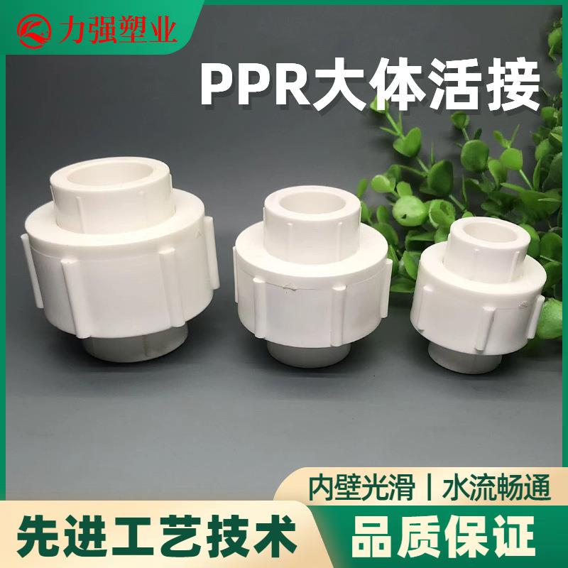 PPR全塑活接20-75全塑活接加大加厚款PPR大体活接头水管配件