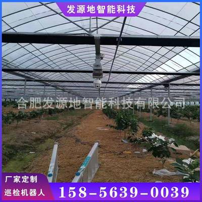 蔬菜大棚巡检机器人农业巡检机器人温室大棚巡检机器人