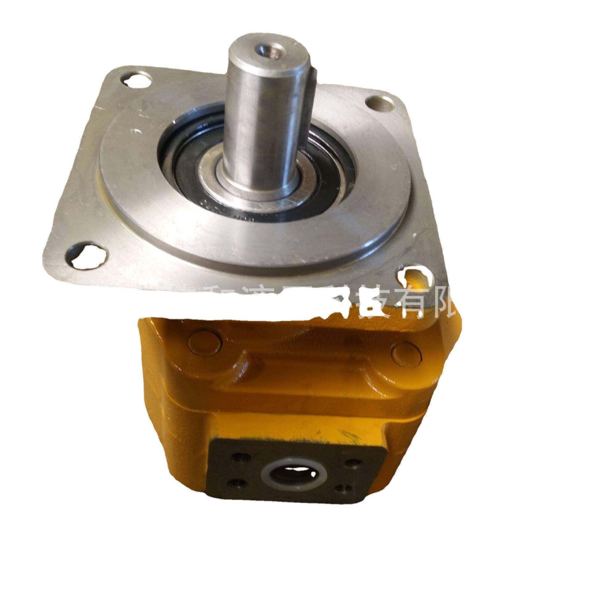 供应齿轮泵平地机适用合肥长源液压齿轮油泵青州佳和,鲜花速递/花卉仿真/绿植园艺,割草机/草坪机,淘宝优惠券,粉丝福利购,淘宝优惠卷