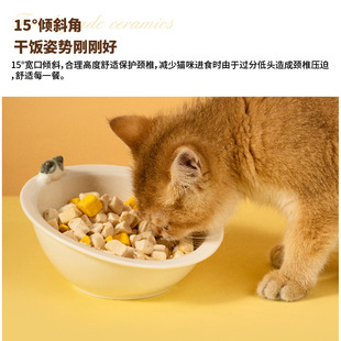 猫碗护颈陶瓷碗防黑下巴小型犬泰迪小鹿犬吉娃娃狗碗可分离碗