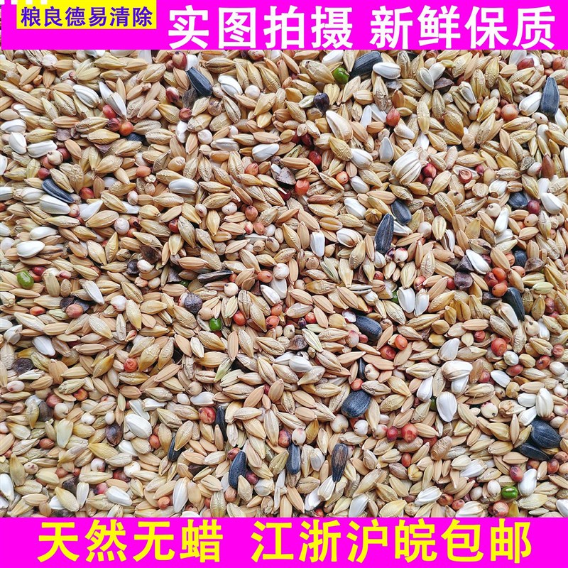 速发皖良德易鸽级清除A粮换毛鸽子粮赛鸽鸽料鸟食45斤装江浙沪粮