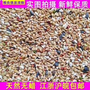 速发皖良德易鸽级清除A粮换毛鸽子粮赛鸽鸽料鸟食45斤装江浙沪粮
