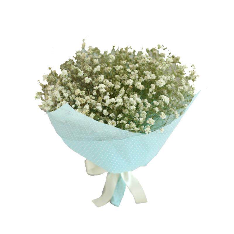 云南工厂保鲜花diy干花材礼盒400g永生花满天星干花花束,家居饰品,餐桌花艺,淘宝优惠券,粉丝福利购,淘宝优惠卷