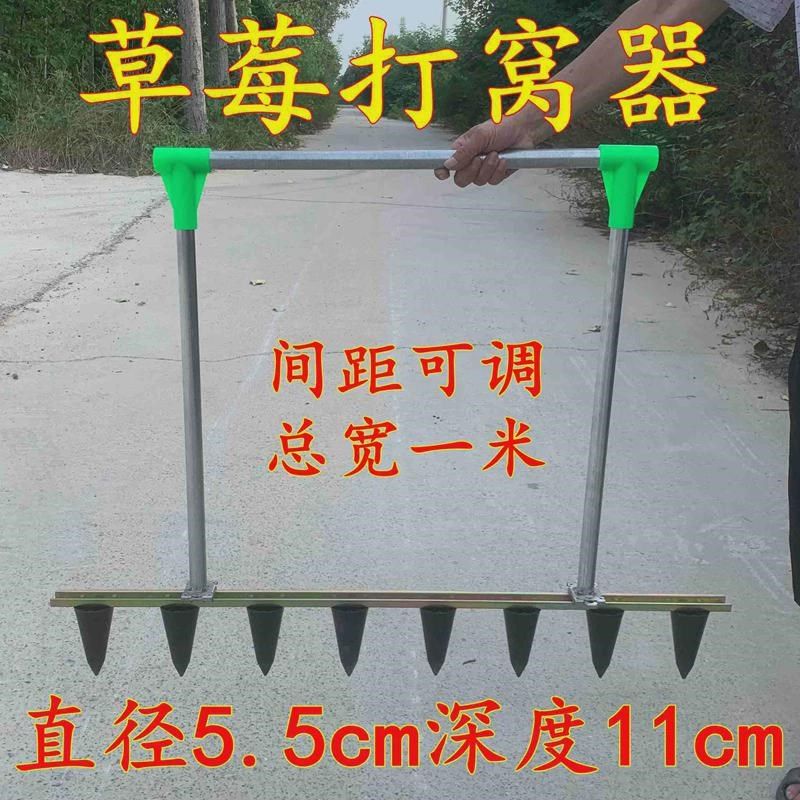 大棚栽草莓农用工具草莓打孔器种草莓神器打窝P器打洞器栽草莓神,农机/农具/农膜,移栽器/移苗器/地膜打孔器,淘宝优惠券,粉丝福利购,淘宝优惠卷