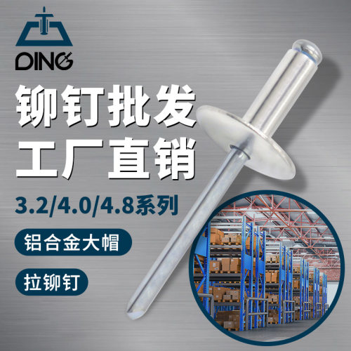 大帽抽芯铆钉大头拉钉圆大帽檐铝拉钉.2/.0/.厂家铝合金