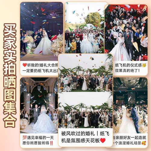 结婚专用纸飞机2025新款户外草坪氛围感接亲互动游戏婚礼拍照道具