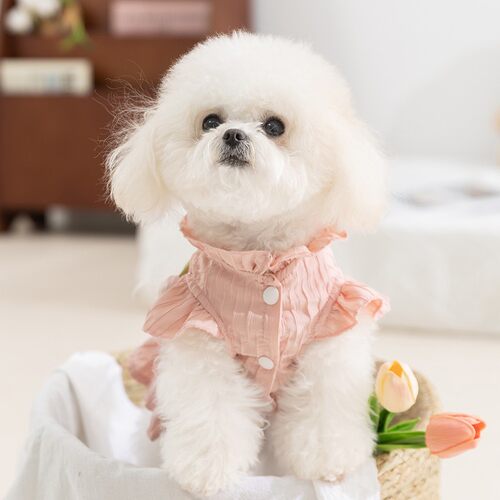 [达人]狗狗裙子春夏季公主风唯美郁金香连衣裙小型犬宠物衣服0418
