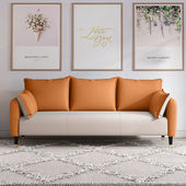 小户型客厅卧室沙发网红款 店免洗科技布沙发 单双人公寓出租房服装