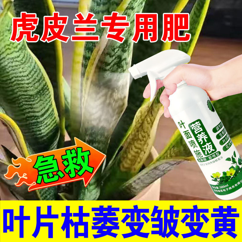 花草营养液通用【不黄叶】虎皮兰营养液专用肥叶发黄枯萎快速生根
