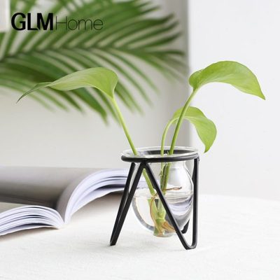 创意简约水培花瓶透明玻璃绿萝水养小摆件客厅插花办公室桌面装饰