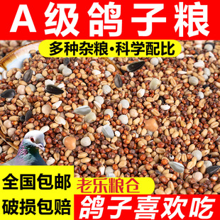 精品豌豆鸽子粮100斤无玉米营养幼鸽粮50斤批发鸟食20斤装高粱5斤