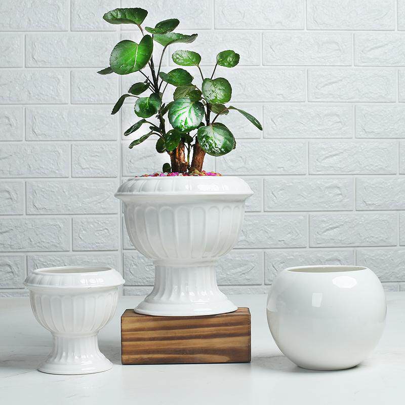 简约白色花盆陶瓷无孔铜钱草碗莲睡莲水培绿萝发财树文竹容器