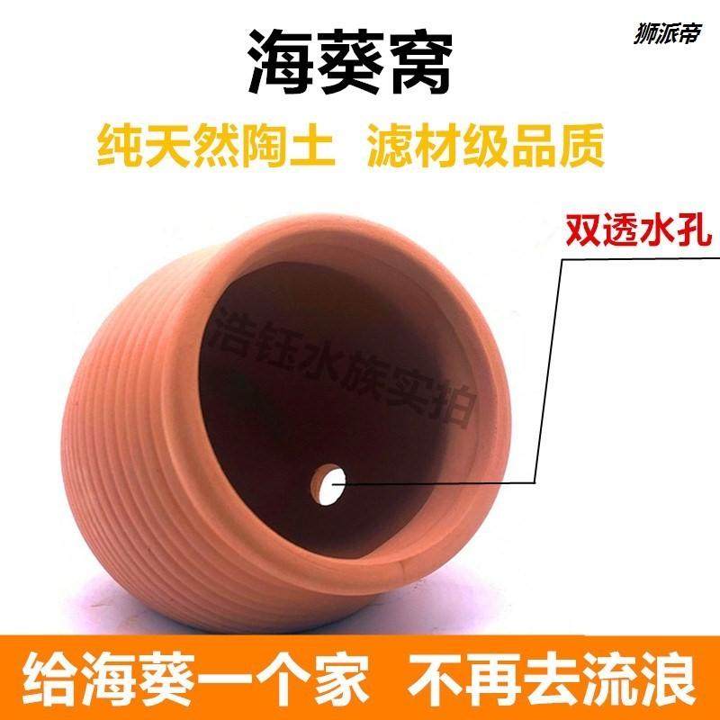 奶嘴巢海葵窝小丑鱼躲避罐海葵家地毯奶嘴窝防跑珊瑚罐海水缸观赏,鲜花速递/花卉仿真/绿植园艺,洒水/浇水壶,淘宝优惠券,粉丝福利购,淘宝优惠卷