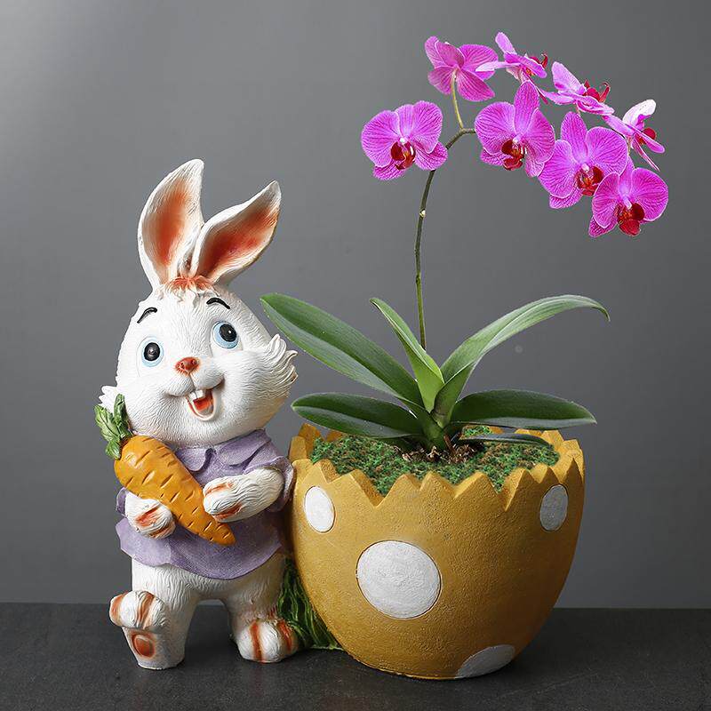 树脂卡通庭院小兔子花盆阳台花园装饰品动物摆件幼儿园植物角布置