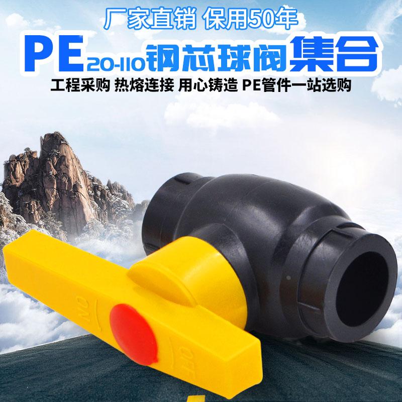 PE钢芯球阀HDPE阀门20 4分25 6分32PE给水饮用水管材管件配件