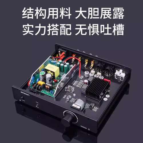 伟良 TPA3255 XLR全平衡输入 大功率输出 300W*2发烧数字功放机
