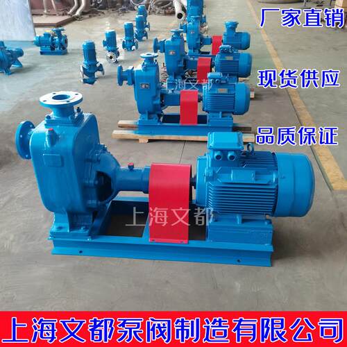 DN300ZW型铸铁无堵塞自吸式排污泵不锈钢化粪池污水排废水淤泥泵