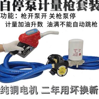 柴油抽油泵计量自封枪12v24v220v自吸泵自动加油机车载油泵加油枪,农用物资,苗木固定器/支撑器,淘宝优惠券,粉丝福利购,淘宝优惠卷