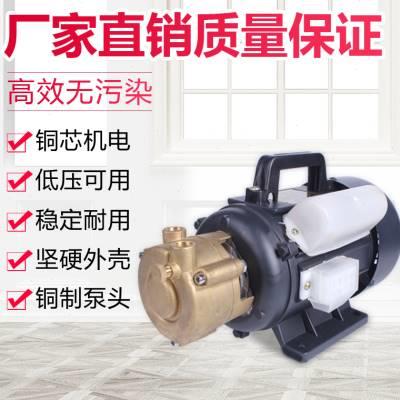 高压多级旋涡泵蒸汽锅炉热水增压泵蒸汽发生器补水泵耐高温循环泵