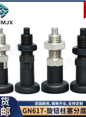 不锈钢分度销自锁复位旋钮柱塞冈特GN617定位弹簧销SXPA/SXPK销子
