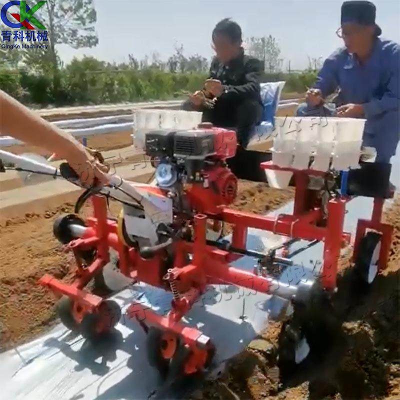 自走式蔬果移栽机 小型手扶蔬菜苗移栽机 蔬菜大棚辣椒苗栽种机,农机/农具/农膜,播种栽苗器/地膜机,淘宝优惠券,粉丝福利购,淘宝优惠卷