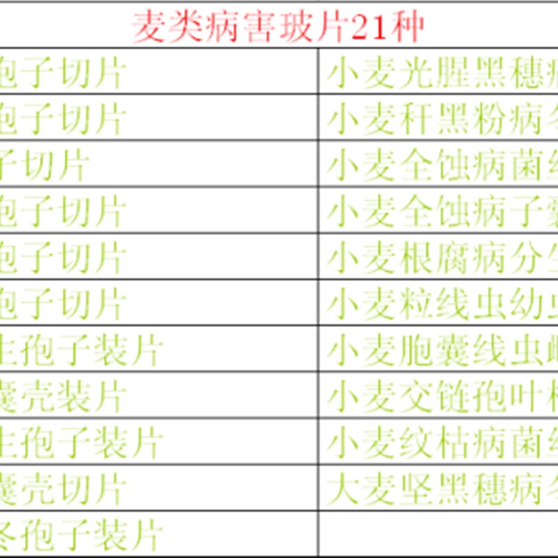 速发植物病虫害标本麦类病害玻片21种