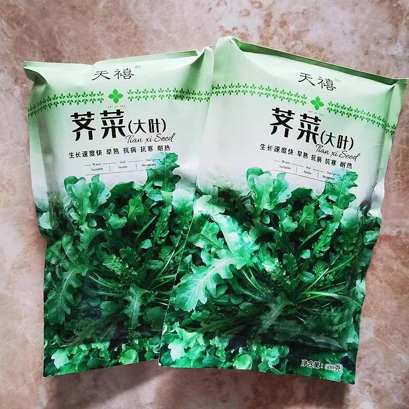 阳台盆栽地栽蔬菜种孑耐寒四季播
