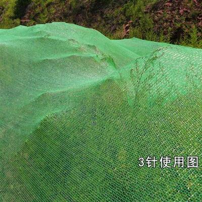 绿化网工程防尘的绿网子用绿网地面细孔绿化覆盖施工盖土网盖沙