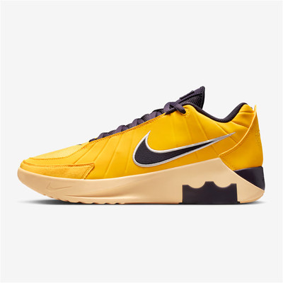 NIKE耐克男鞋LEBRON WITNESS IX EP运动训练篮球鞋HQ8035-700