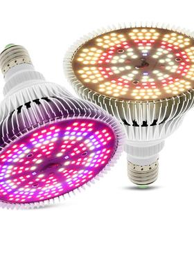适配LED灯杯Par38太阳光全波段植物灯 E27灯头LED全光谱植物补光